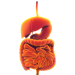 Obesity and metabolic disorder