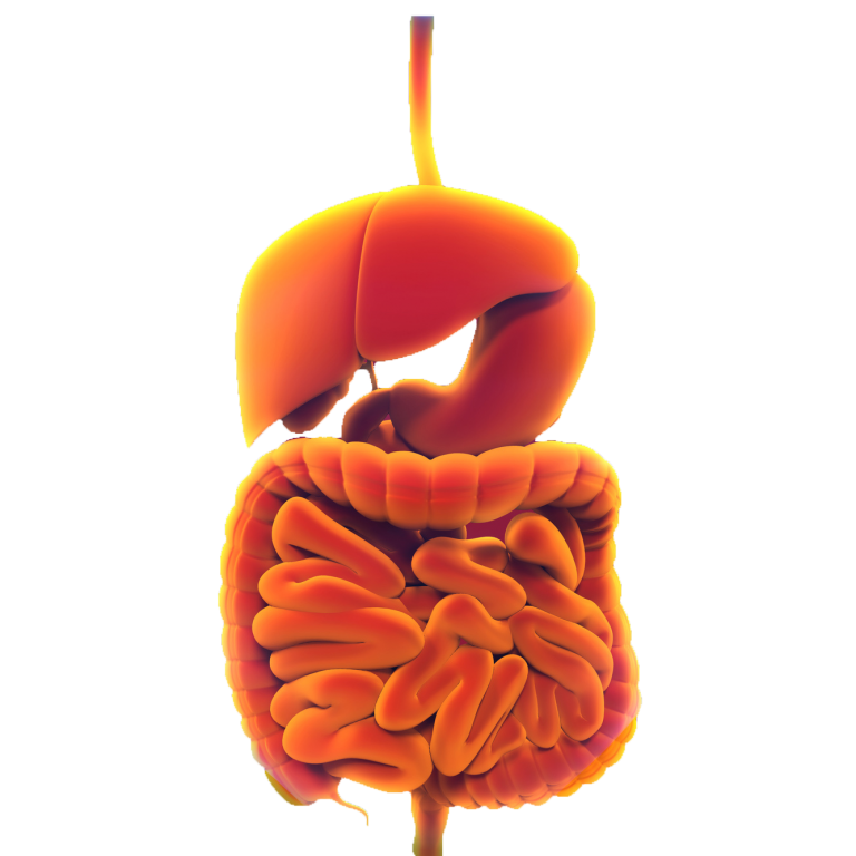 Obesity and metabolic disorder