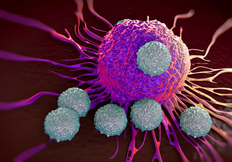 Tumorla Cells