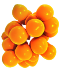 Assessing inflammation at Porsolt