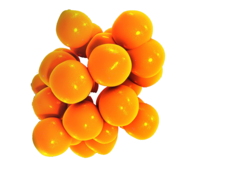 Assessing inflammation at Porsolt