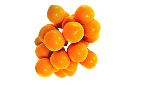 Assessing inflammation at Porsolt