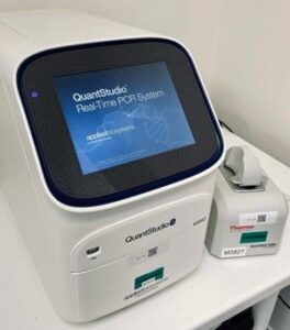 Read more about the article 📣New and improved Biomarker Analysis Services using Real Time qPCR📣