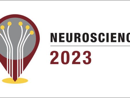 Porsolt attending SfN 2023