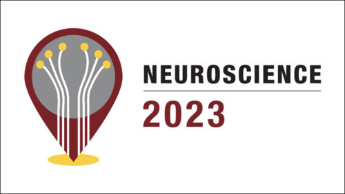 Porsolt attending SfN 2023