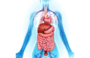 Organ-specific toxicity